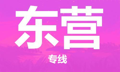 石家莊到東營物流公司-普通貨物運(yùn)輸專線「服務(wù)周到」